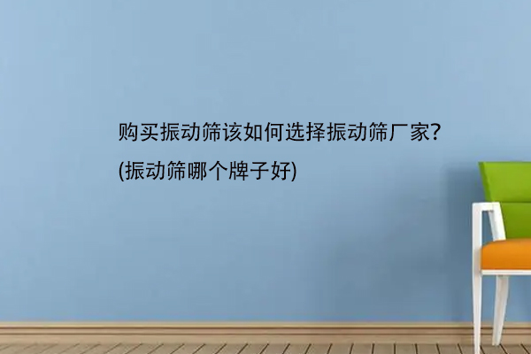 購買振動篩該如何選擇振動篩廠家？(振動篩哪個牌子好)